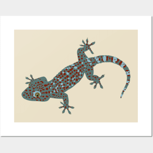 Tokay Gecko Posters and Art